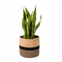 Burlap Pot