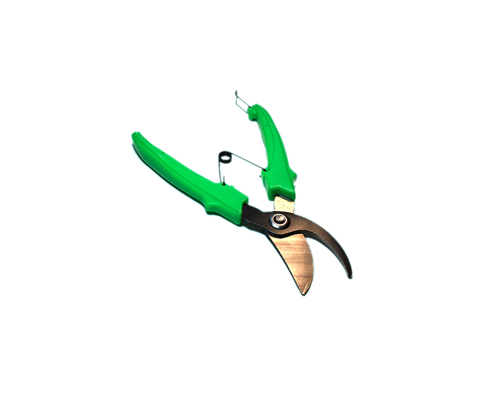 Pruning Shear