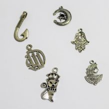 Small Charms Accessories in Different Shapes