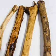 Treated and Painted Wood Branch 70-80cm