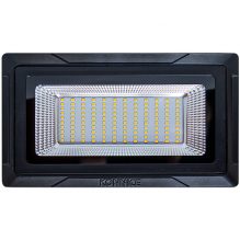 Flood Light