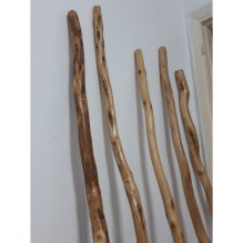 A 2 Meter Long Natural and Processed Branch