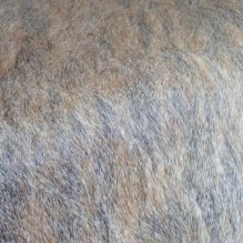 Cowhide with Fur (18-20 ft)