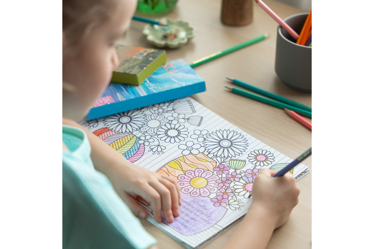 Colored Pencil Set 24 Eco-Friendly Colors for Drawing for Children - Image 5