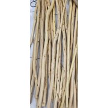 Natural Dried Wooden Stick for Art and Decor (Single Piece)