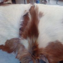 Natural Tanned Goat Hide with Fur - 5-6 Sq Ft Piece