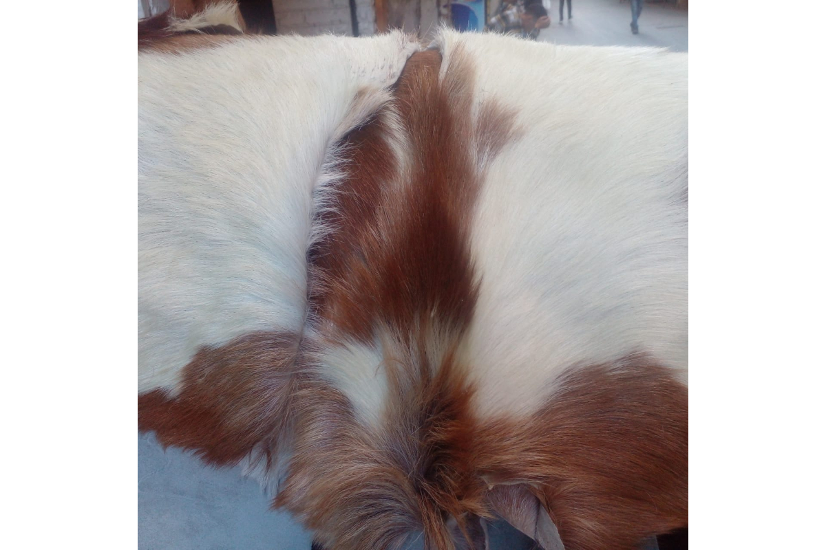 Natural Tanned Goat Hide with Fur - 5-6 Sq Ft Piece